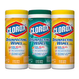 美国Clorox高乐氏家居清洁消毒湿纸巾 35片 味道随机